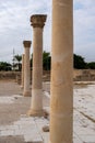 Columns in remains of HishamÃ¢â¬â¢s Palace aka Khirbet al Mafjar,  archeological sites in Jericho Royalty Free Stock Photo